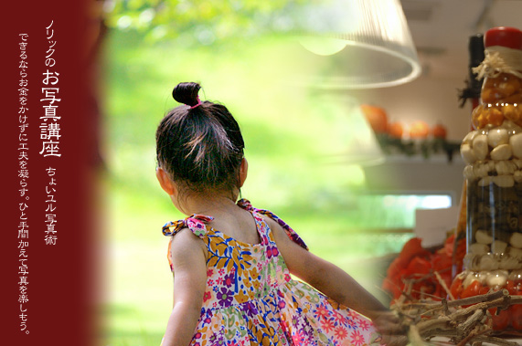 �m���b�N�̂��ʐ^�u�� ���傢�����ʐ^�p