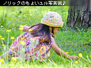 ���ʐ^�u�� �X������