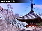 �������� �쑽�@ ����