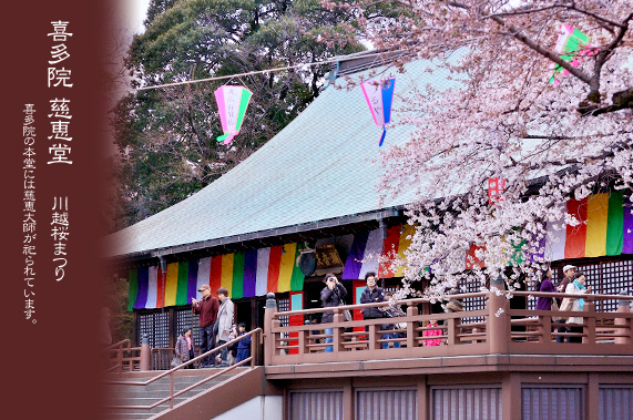 �쑽�@�̍��܂� �{��