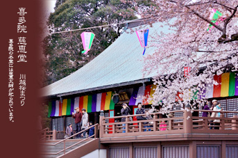 ��z ���܂� �쑽�@ ���b���ƍ�