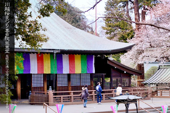 �쑽�@�̍��܂� �{��