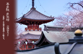 ��z ���܂� �쑽�@�̍�