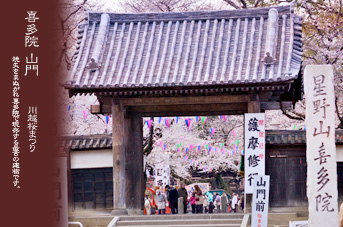 ��z �������� �쑽�@