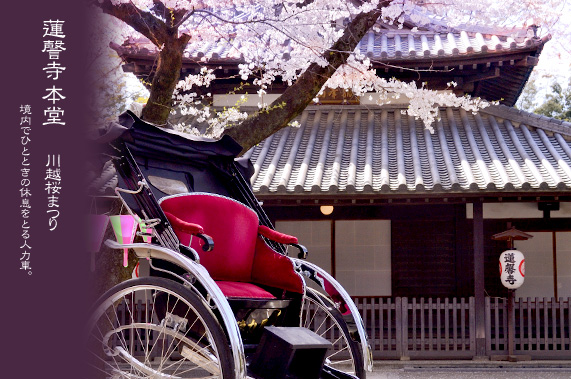 �@撎��̖{���ƍ��܂�