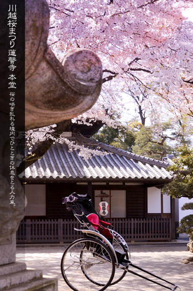 �@撎��̖{���ƍ��܂�