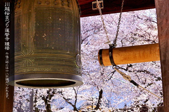 �@撎� �������ƍ��܂�