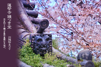 ��z �@�]�� ������