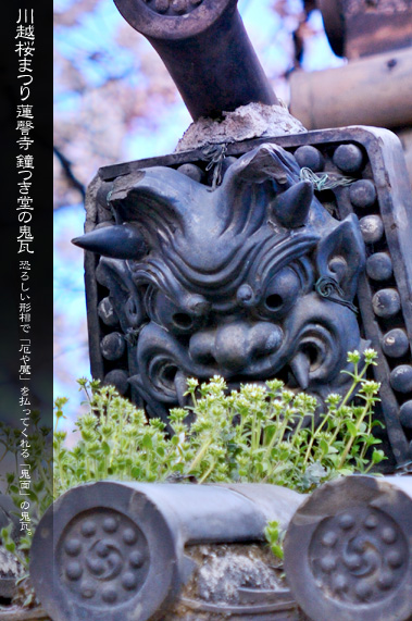 �@撎� �������ƍ��܂�