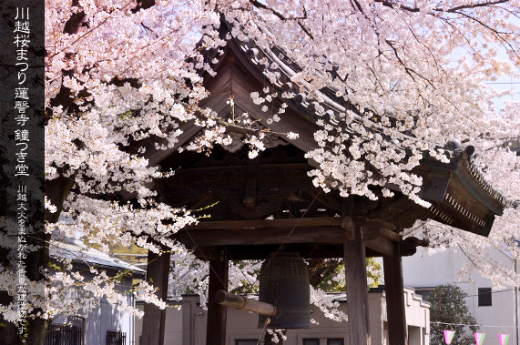 �@撎� �������ƍ��܂�