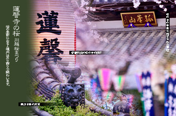 ��z �@�]���̍�