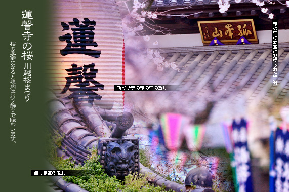 �@撎��̍��܂�