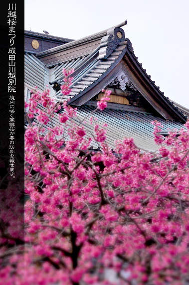 ���c�R��z�ʉ@ ���܂�