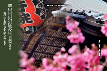 ��z ���c�R�̍�