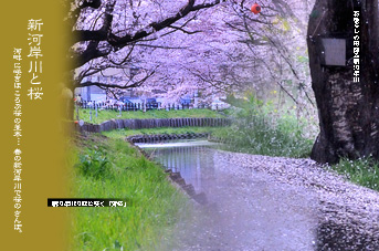 ��z ������� �V�͊ݐ�̍�