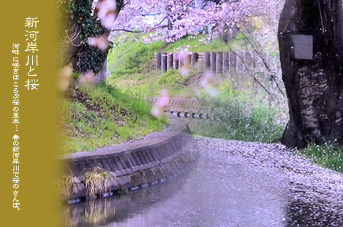 ��z �V�͊ݐ� ���̍�