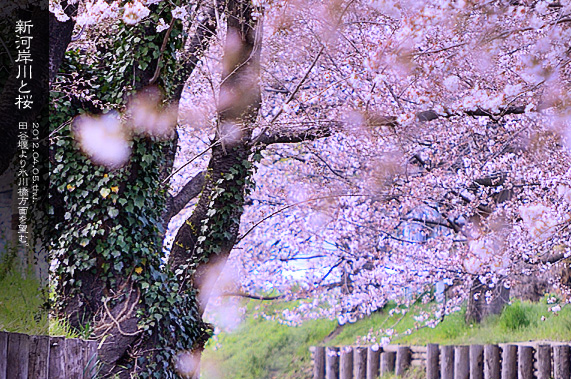 ��z �V�͊ݐ�ƍ�