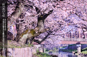 ��z �V�͊ݐ�ƍ�