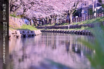 ��z �V�͊ݐ�ƍ�