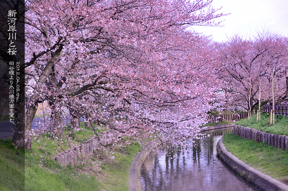 ��z �V�͊ݐ�ƍ�