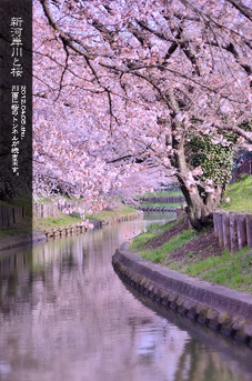 ��z �V�͊ݐ�ƍ�