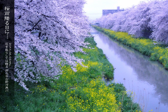 ��z �V�͊ݐ�ƍ� ���J�~�����