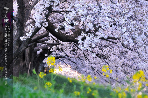 ��z �V�͊ݐ�ƍ�