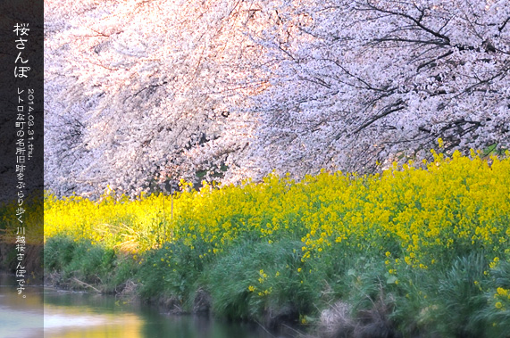 ��z �V�͊ݐ�ƍ�