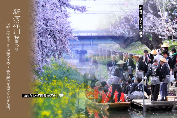 �V�͊ݐ�̍��܂�