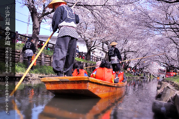 ��z �V�͊ݐ� �t�̏M�V