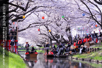 ��z �V�͊ݐ� �t�̏M�V