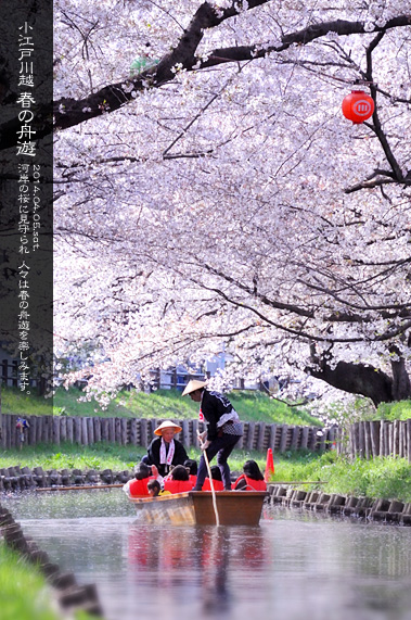 ��z �V�͊ݐ� �t�̏M�V