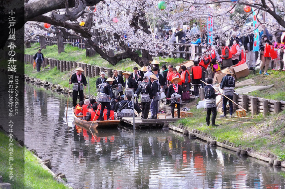 ��z �V�͊ݐ� �t�̏M�V