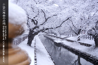 ��z �V�͊ݐ� �t�̏M�V