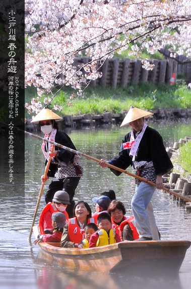 ��z �V�͊ݐ� �t�̏M�V