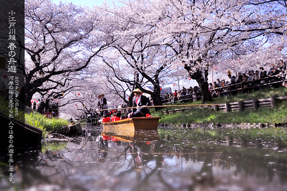 ��z �V�͊ݐ� �t�̏M�V