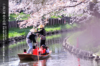 ��z �V�͊ݐ� �t�̏M�V