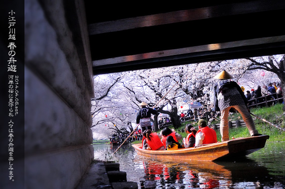 ��z �V�͊ݐ� �t�̏M�V