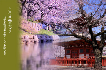 ��z ��z�t�܂�