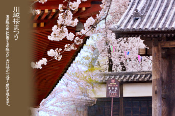 ��z �쑽�@�̍�