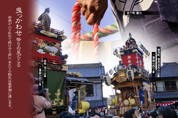 �Ղ�̌��ǂ��� �I�����킹 �K���Ɛ�����