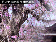 雀の森氷川神社 お焚き上げ