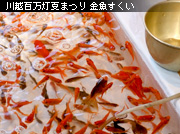 ��z�S�����Ă܂� ����������