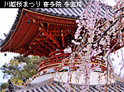 �쑽�@ ����