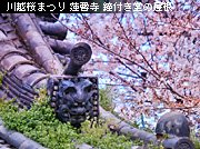 ��z�܂� �Ђ����킹