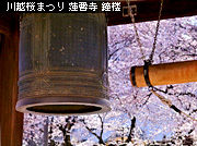 ��z���܂� �@撎� ������