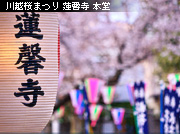 ��z�܂� �Ђ����킹