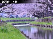 �V�͊ݐ� ���܂�