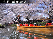 ��z �V�͊ݐ� �t�̏M�V