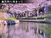 ��z�܂� �Ђ����킹